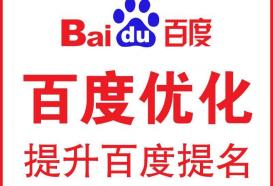 网站快照优化推广